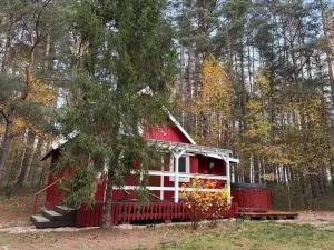 Hajerówka - Kokotek