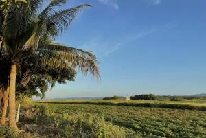 cabaña a pasos del mar en la costa