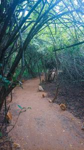 Podi Hoona Yala Safari Camp