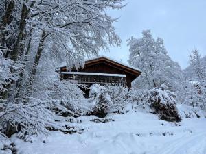 Chalets Datcha of Sky -Jardin - Calme - 180 vues - 9 chambres & Studio Appt : photos des chambres