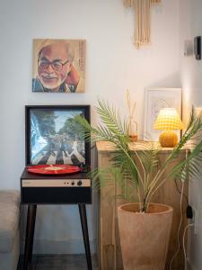 Jeju Love Stay Purple