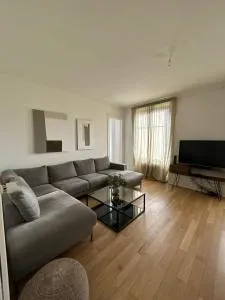 Le nid de Montreux - Les Avants