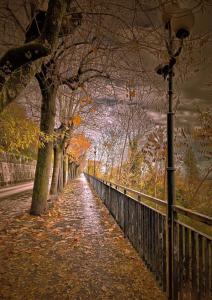 Grelios stanze preziose