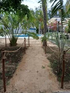 Exotica Sense - Flic-en-Flac