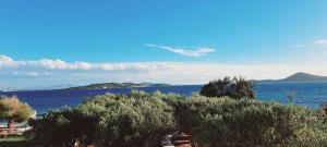 O`Life Boutique Apartments