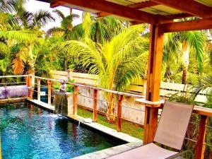 La Mezina - Manapany-les Bains