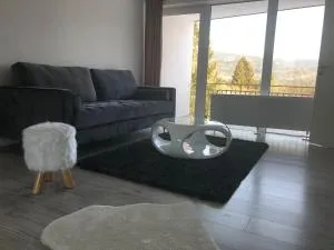 Ferienwohnung im Dreiländereck - 诺伊赖歇瑙