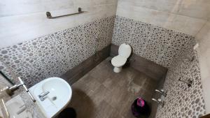 New Seiko The Homestead