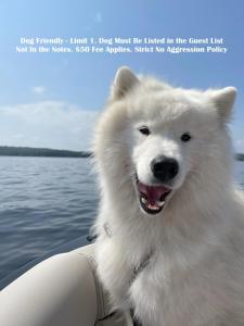 Cottage 11 - Double Queen Beds plus Child Loft w 2 Twins Private Bath & Kitchenette Pets Allowed Fee applies