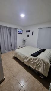 Lucila suites bosque