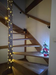 Ruralna kuća za odmor CVEPUK 