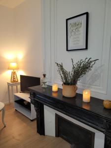 Appartements Au fil de la Loire : photos des chambres