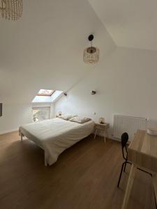 Appartement rénové hypercentre-Charleville-10p