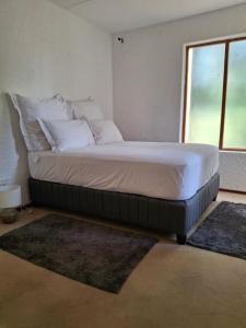 Modern Comfort in Sandton