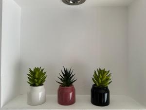 Appartement à Frejus avec piscine et terrasse