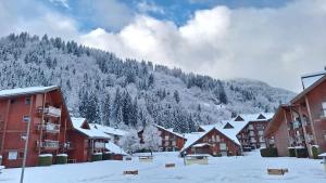 Appartements Studio cosy au pied des remontees,wifi,smart TV,parking : photos des chambres