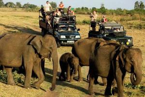 Royal Reach Udawalawe