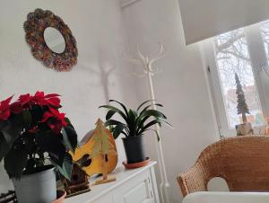 Appartements Gite Le Marronnier - au calme - parking & terrasse - pres de Colmar et Riquewihr - route des vins : photos des chambres