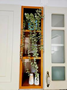 Apartma Tul 