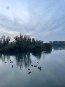 Appartamento zona fiera Treviso