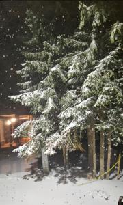 Brvnara Marinković na Sekulićima