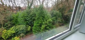 The Coral Suite - 2 Bedroom Apartment with 5G Wi-Fi in Lakeside, Cardiff minutes from Roath Park Lake