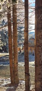 Brvnara Marinković na Sekulićima