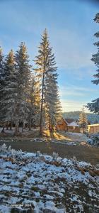 Brvnara Marinković na Sekulićima