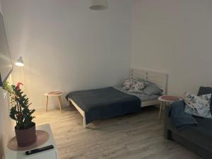 Nikifor Apartamenty Krynica-Zdrój