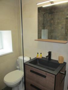Appartements Appartement tout confort 7 personnes a Porte-Puymorens : photos des chambres