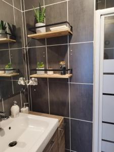 Sejours chez l'habitant Studio cosy proche aeroport d'Orly & paris : Chambre Double avec Salle de Bains Privative