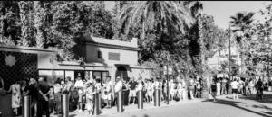 Vu imprenable sur les jardins Majorelle
