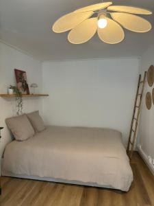 Appartements Appartement terrasse au coeur de la ville : Studio avec Terrasse