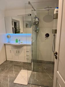 House in city centre with free parking