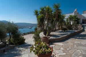 Archipelagos Apartments Paros Greece