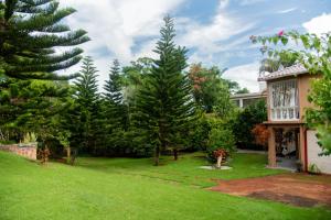 Estudio Jardín Escondido