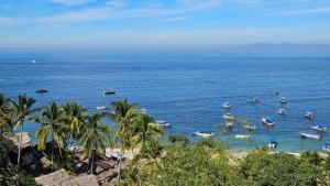 Casa Mismaloya Parota