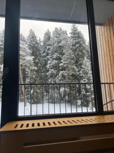 Kokhta Mitarbi Apartment Bakuriani