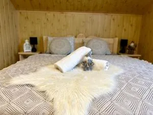 Domek Golasówka - Żegiestów