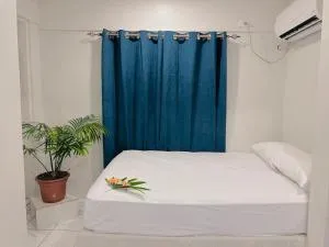 Harmony Heights - 拉奇拉奇