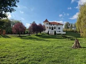 Conac de lux Topoloveni - Mavrodolu