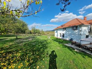 Conac de lux Topoloveni