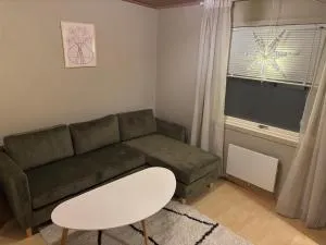 Studio leilighet på fastlandet - Tomasjorda