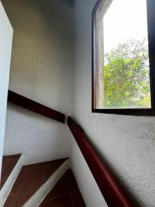 Casa del Bosque La Paloma