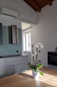 Skyview Family Lodge