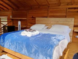 Ecocabañas B&B - Cabaña de lujo con jacuzzi privado cerca a termales