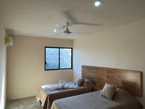 Hotel Xara Playa del Carmen Centro