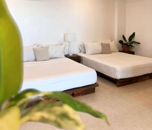 Beachfront Apartment with Two Queen Beds, Kitchen and Balcony