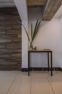 Apartamento Industrial Boutique en z10