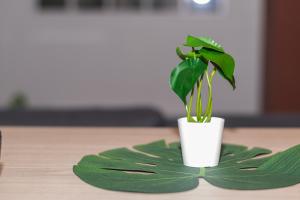 A 100 M DE LA VIELLE VILLE, PROCHE REMPARTS, cosy holiday